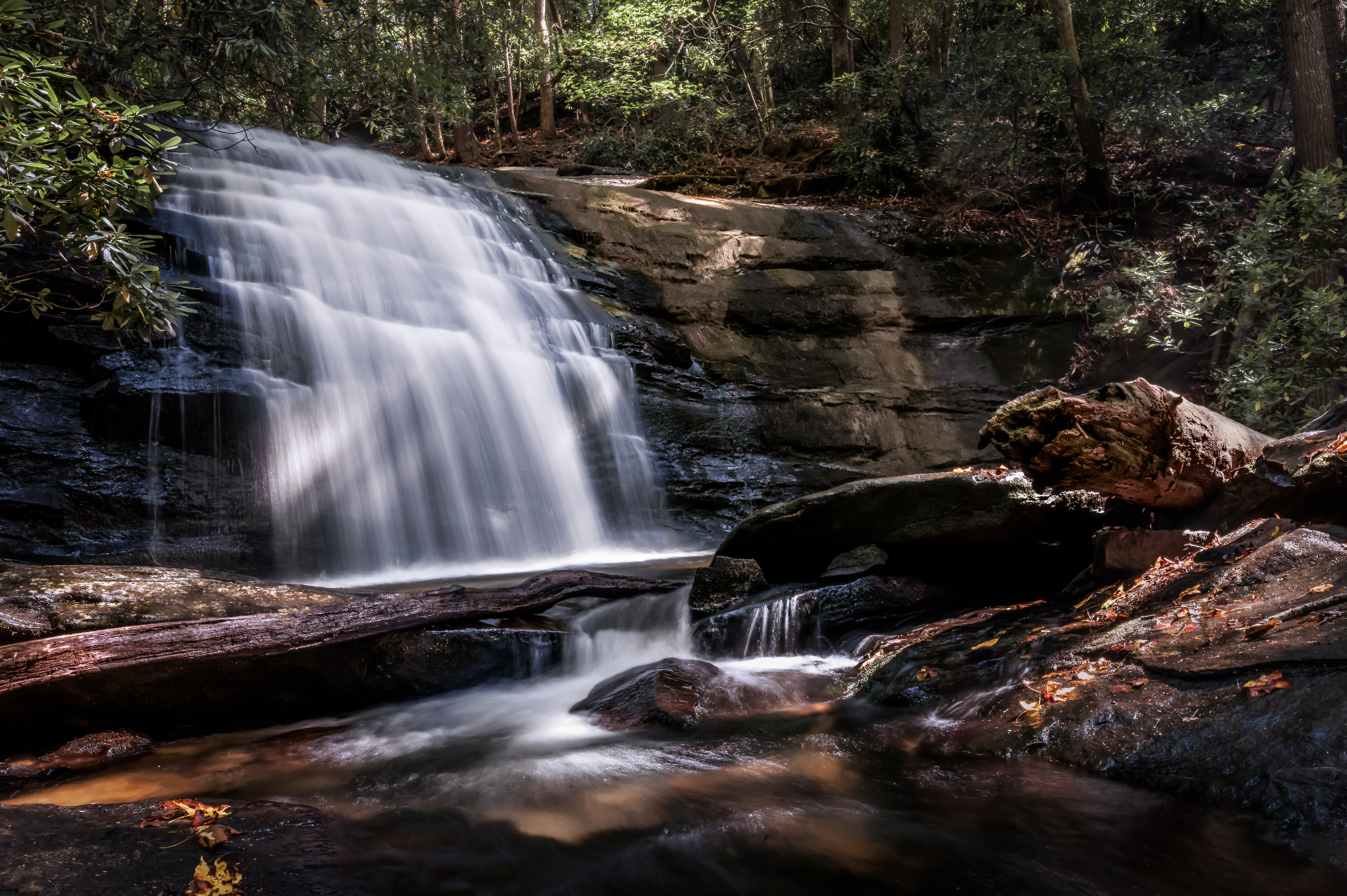 Secret Oasis